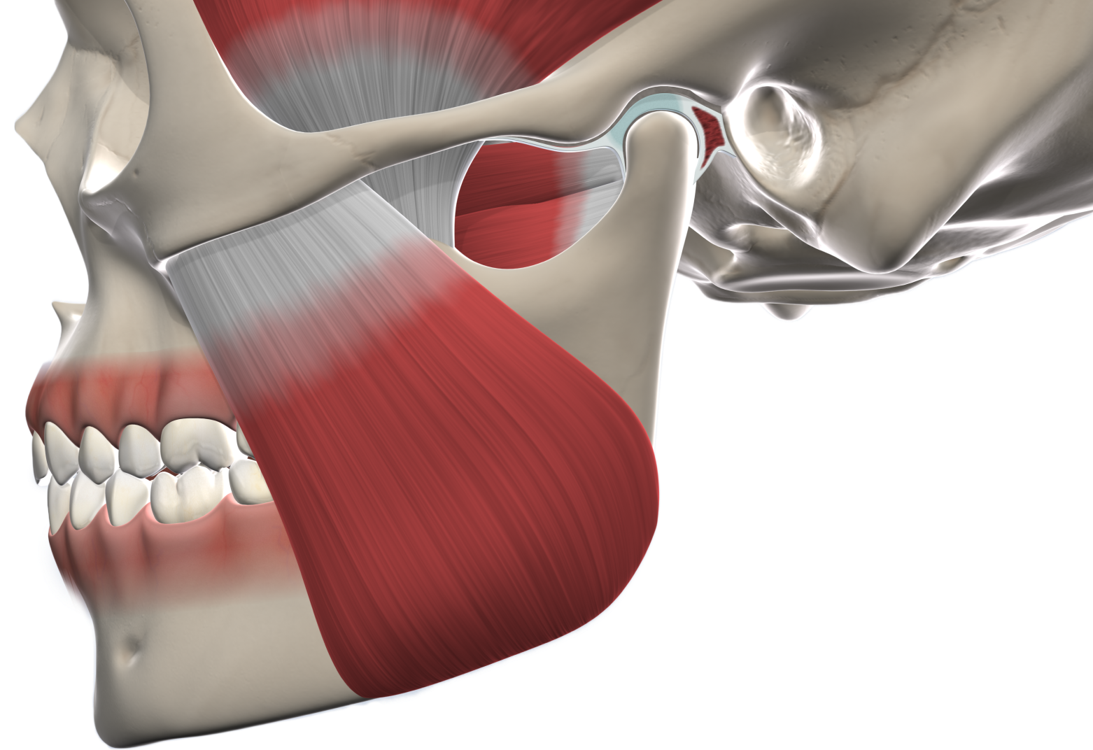 Isolated tmj surgery